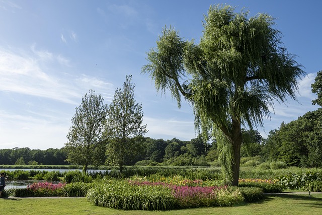Dänische königshaus-news: Zwischen tradition und moderne